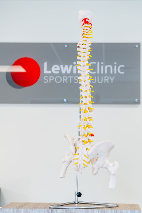 Spine Spine